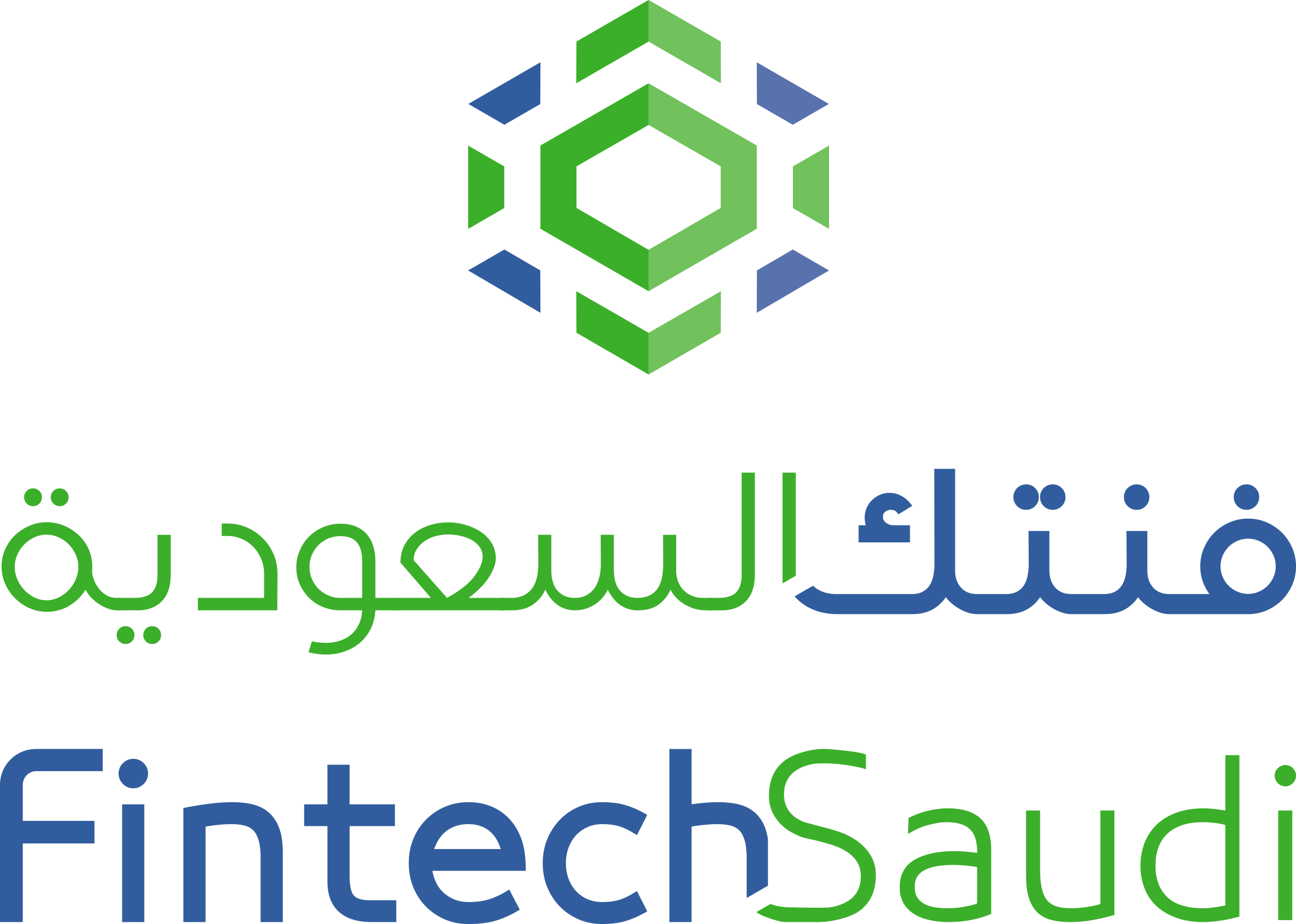 Fintech Saudi BL.png